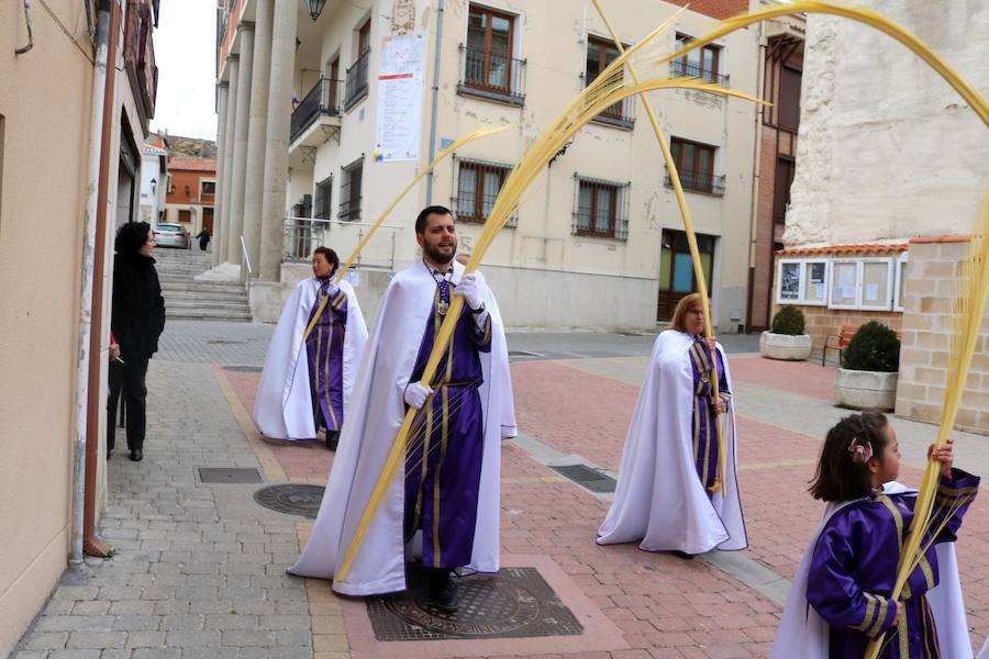 Fotos: Procesión de la Borriquilla en Baltanás