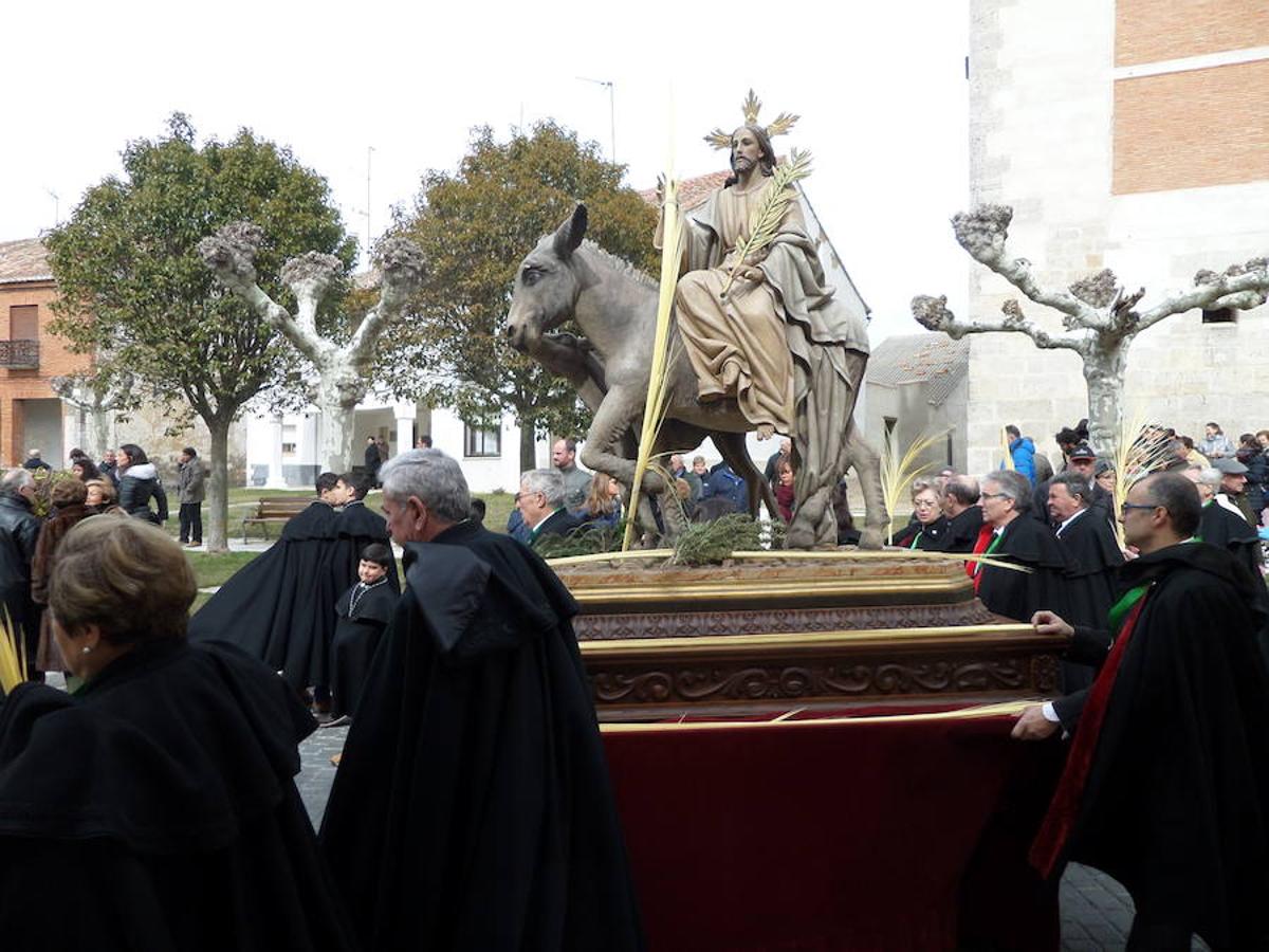 Fotos: Procesión de Ramos en Carrión de los Condes