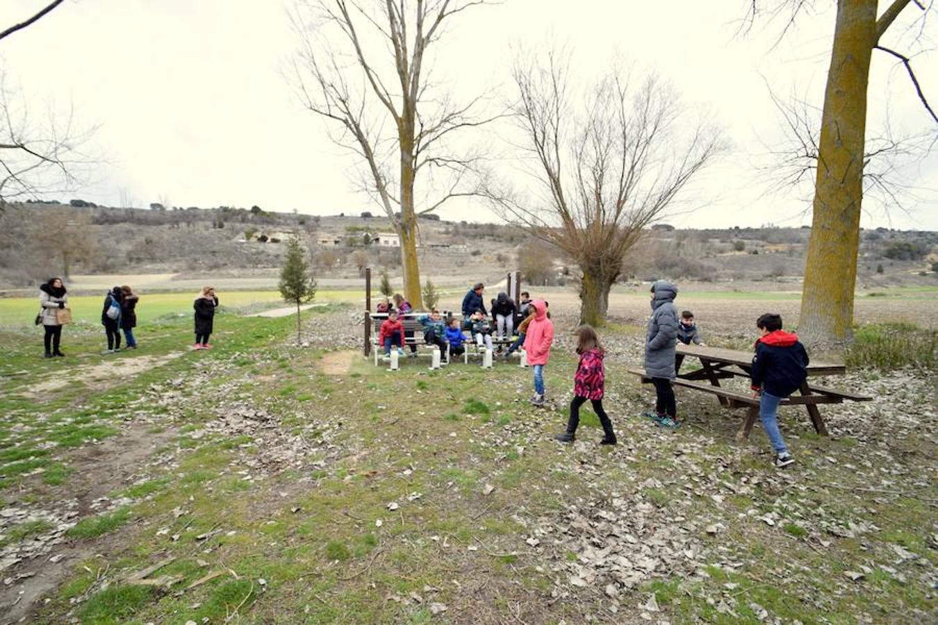 Fotos: Los escolares de Baltanás celebran el Día del Árbol