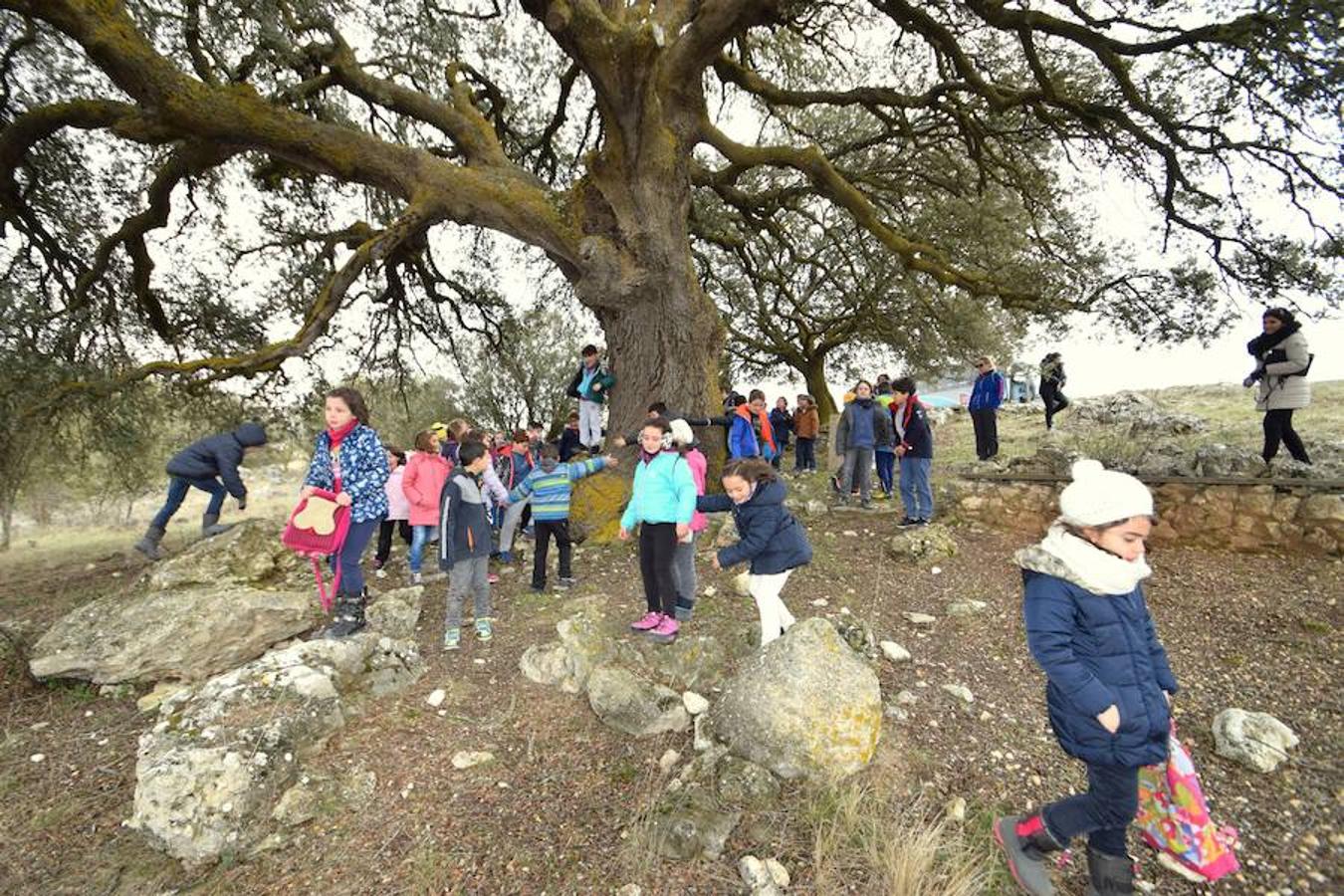 Fotos: Los escolares de Baltanás celebran el Día del Árbol