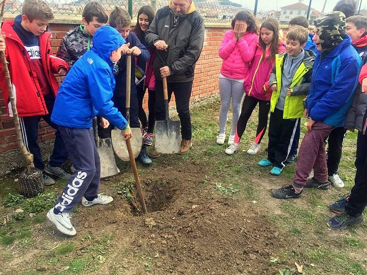 Fotos: Los escolares de Baltanás celebran el Día del Árbol