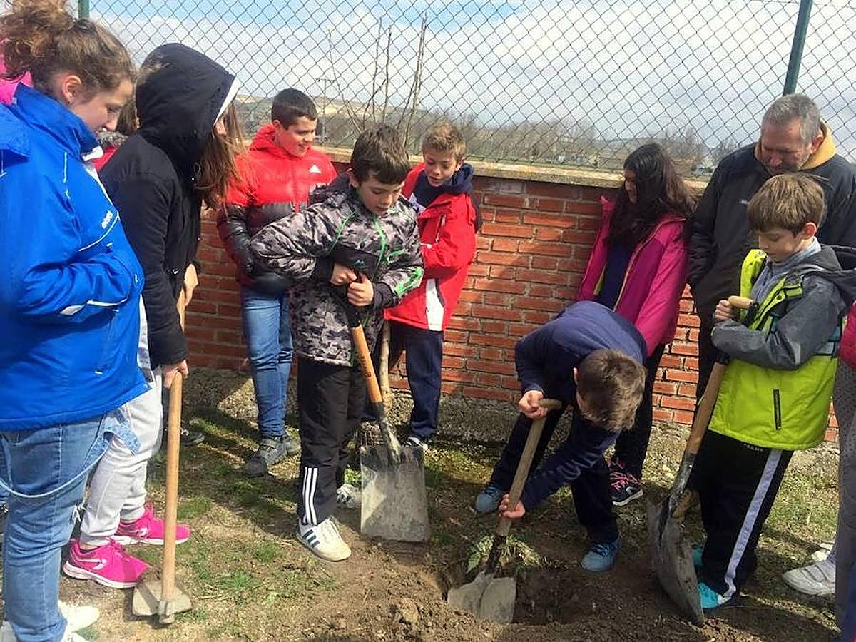 Fotos: Los escolares de Baltanás celebran el Día del Árbol