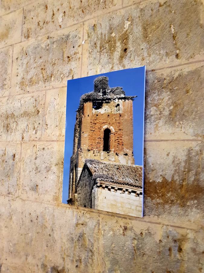 Fotos: &#039;Renacer, un antes y un después&#039; en el monasterio de la Zarza