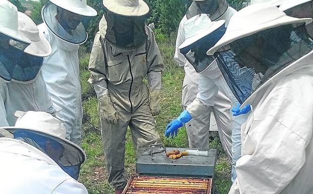 Participantes en un curso anterior de apicultura.