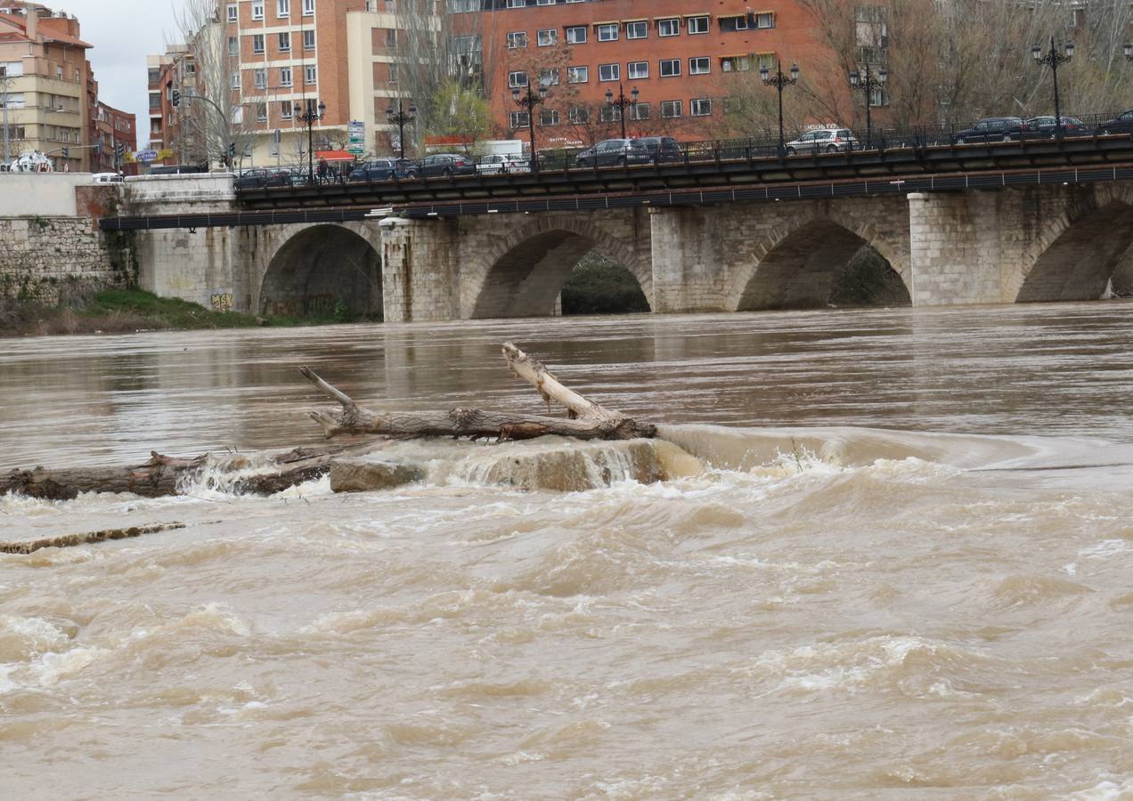 Crece el río a su paso por la capital, pero sin riesgo de desbordarse.