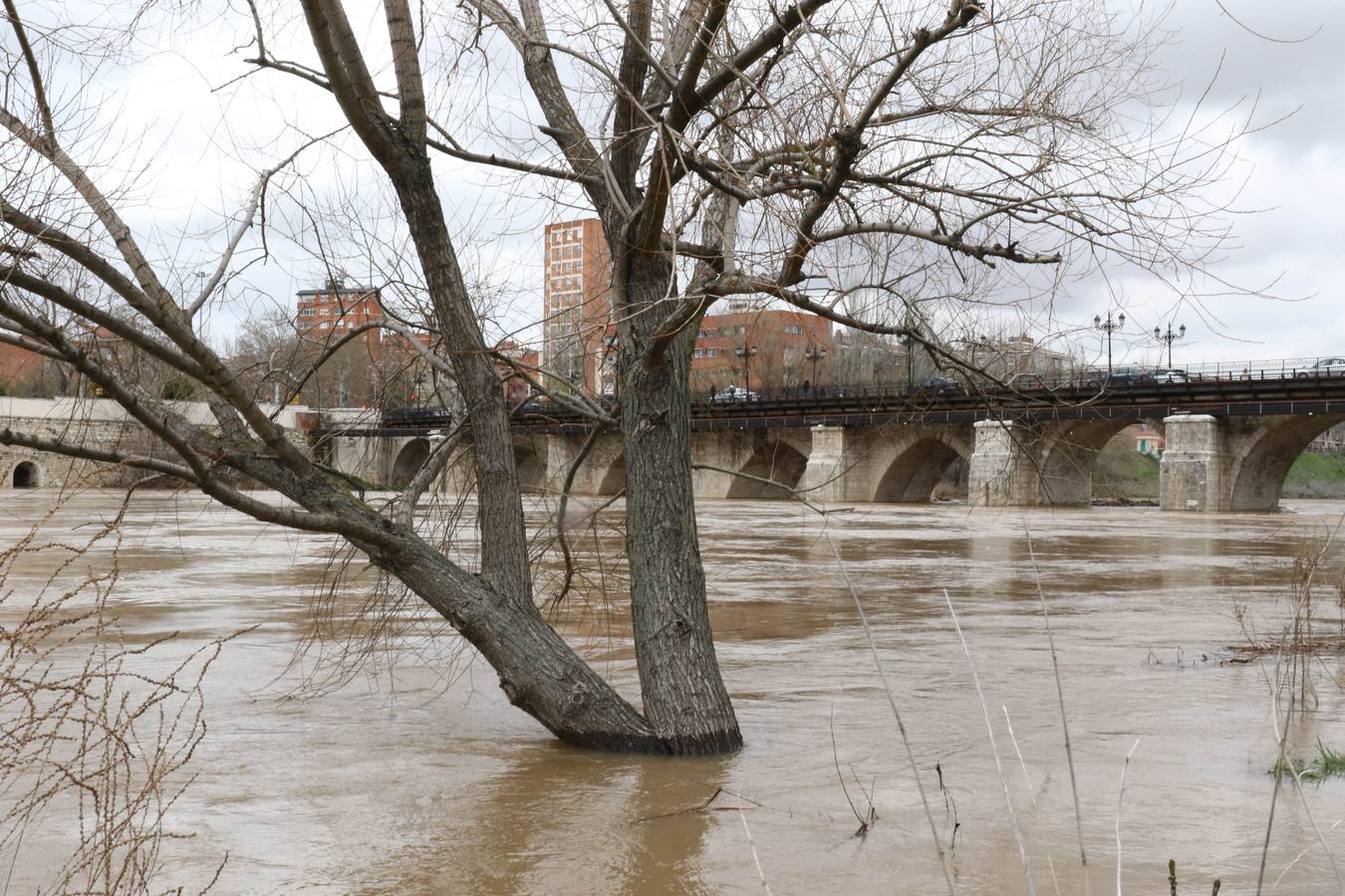 Crece el río a su paso por la capital, pero sin riesgo de desbordarse.