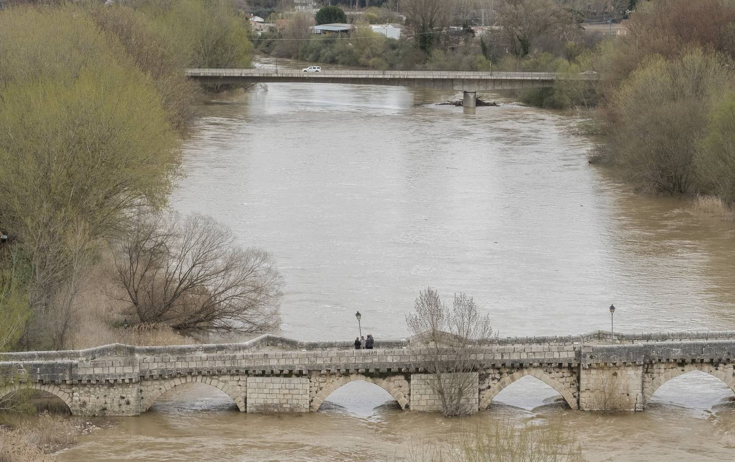 El río a su paso por la localidad de Simancas.