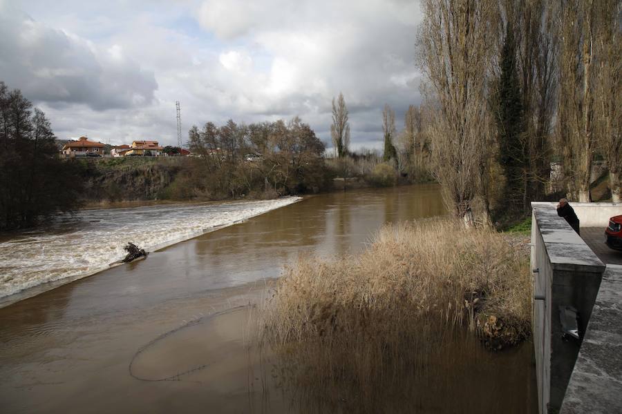 El Duero a su paso por Quintanilla. 