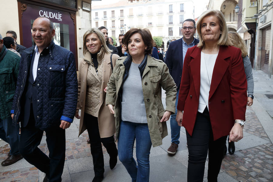 Fotos: Convención Sectorial del PP sobre Medio Rural y Reto Demográfico en Zamora