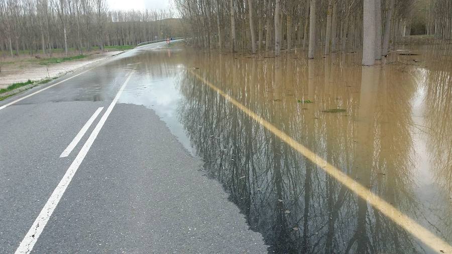 Fotos: Desbordamiento de los ríos Eresma, Duratón y Riaza en la provincia de Segovia