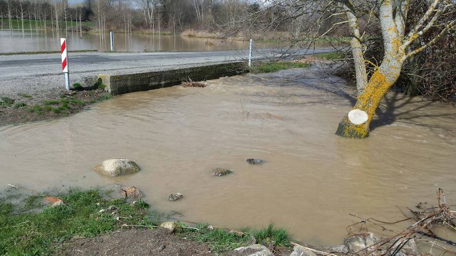 Fotos: Desbordamiento de los ríos Eresma, Duratón y Riaza en la provincia de Segovia