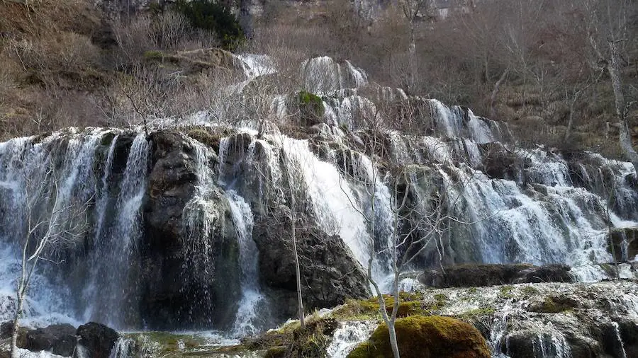 Fotos: Las imágenes que deja el deshielo en Palencia