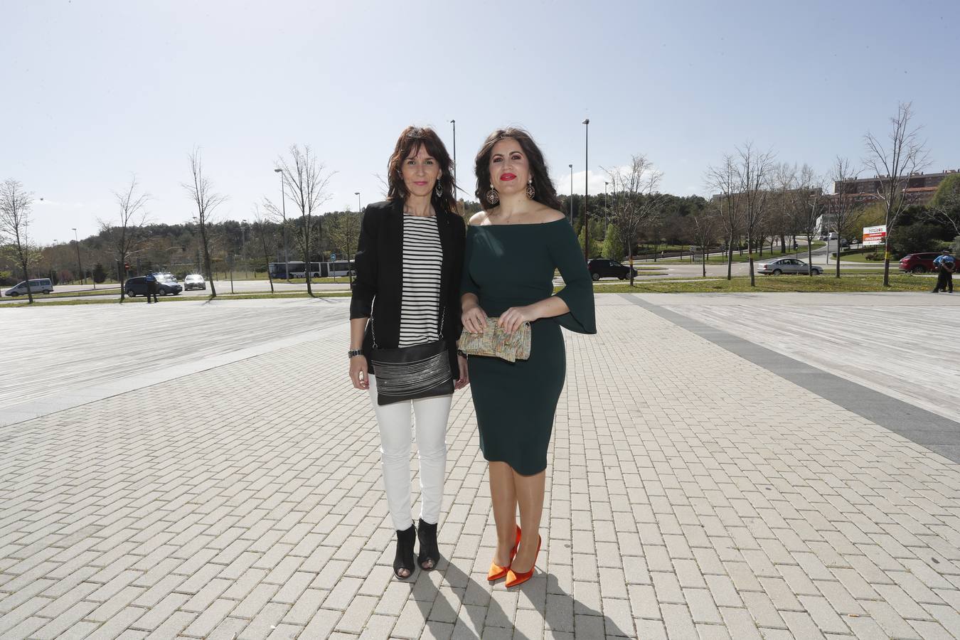 Fotos: Invitados a la entrega de los Premios Castilla y León 2017