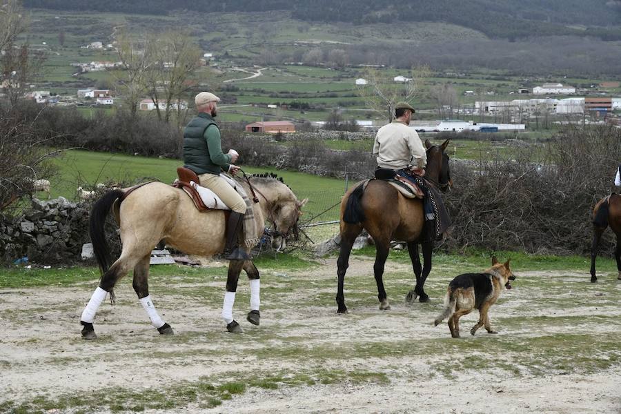 Fotos: Feria de Abril en El Espinar
