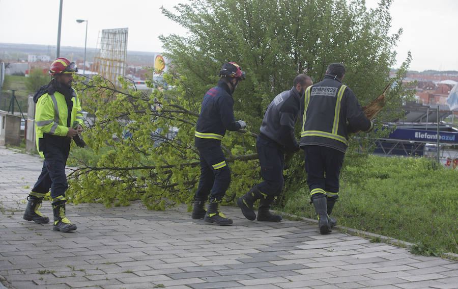 Las intervenciones del cuerpo de bomberos de Valladolid se han visto incrementadas de forma repentina en la tarde de este domingo a causa de la tormenta. 