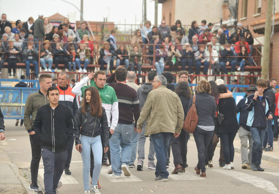 Tres mujeres resultaron este sábado heridas en La Seca durante el Toro del Sarmiento, que se programa con motivo de la Fiesta del Verdejo, una cita que se ha convertido en un éxito de participación y de asistentes en el municipio. 