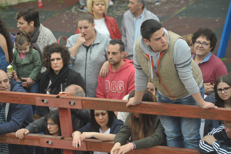 Tres mujeres resultaron este sábado heridas en La Seca durante el Toro del Sarmiento, que se programa con motivo de la Fiesta del Verdejo, una cita que se ha convertido en un éxito de participación y de asistentes en el municipio. 