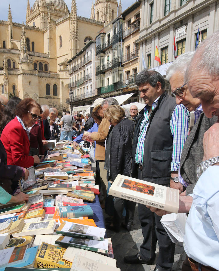 Fotos: Celebración del Día del Libro en Segovia