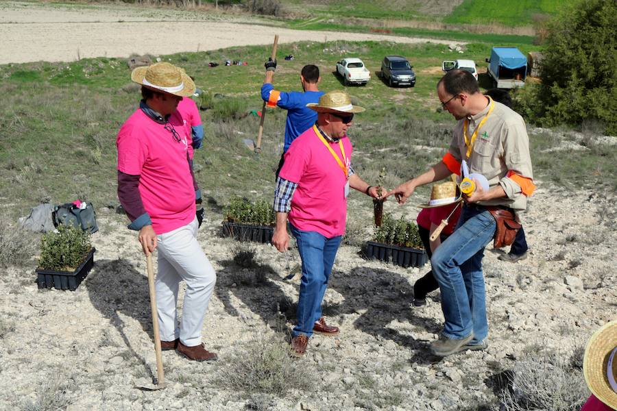Fotos: Jornada de reforestación en Cevico Navero