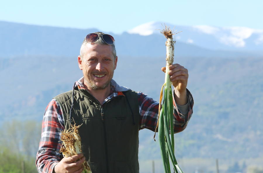 Fotos: El otro manjar del Bierzo