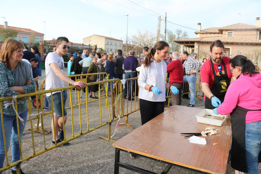 Fotos: Degustación de panceta en Torquemada