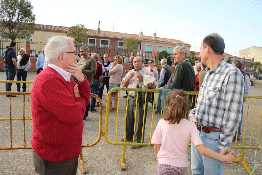 Fotos: Degustación de panceta en Torquemada