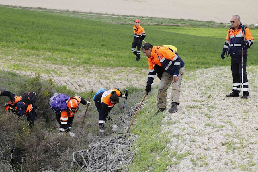 La Junta de Castilla y León organizó este fin de semana en Peñafiel un curso para voluntarios de Protección Civil sobre 'La búsqueda de personas desaparecidas en grandes áreas'. 