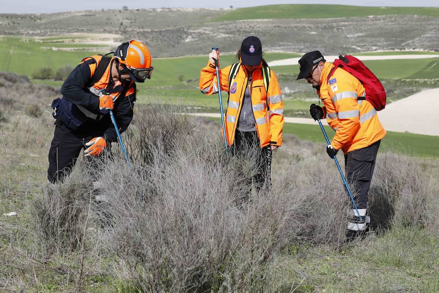 La Junta de Castilla y León organizó este fin de semana en Peñafiel un curso para voluntarios de Protección Civil sobre 'La búsqueda de personas desaparecidas en grandes áreas'. 