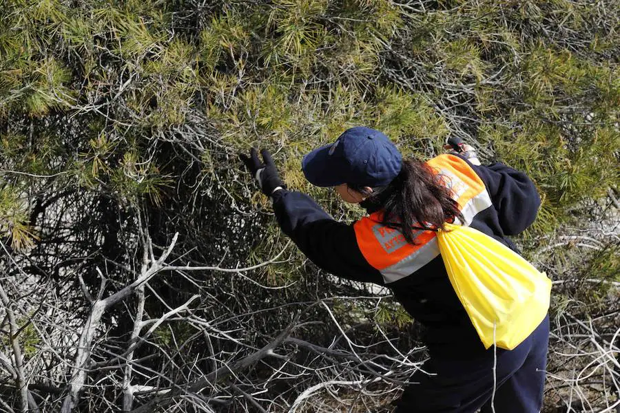 La Junta de Castilla y León organizó este fin de semana en Peñafiel un curso para voluntarios de Protección Civil sobre 'La búsqueda de personas desaparecidas en grandes áreas'. 