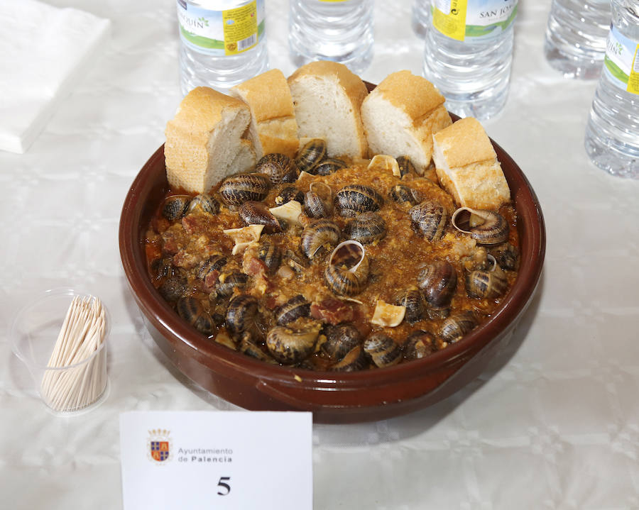 Fotos: Romeria de San Marcos en Palencia