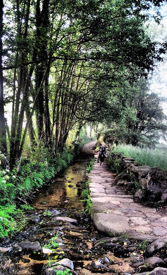 Un camino único que cada peregrino vive de una manera única