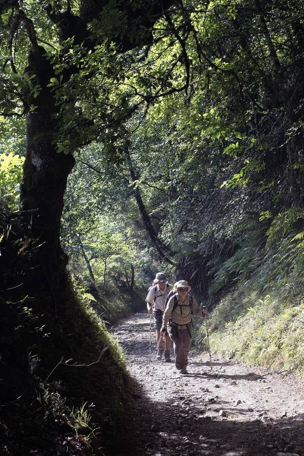 Un camino único que cada peregrino vive de una manera única