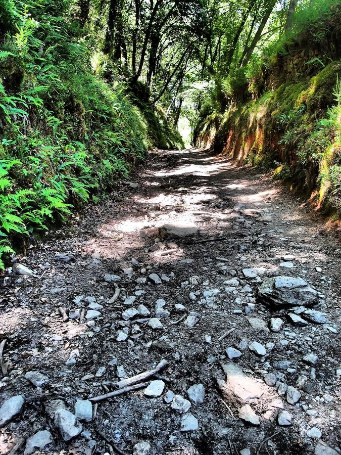 Un camino único que cada peregrino vive de una manera única