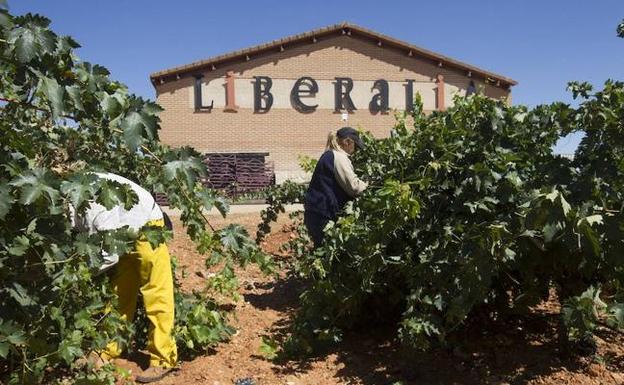 Bodega Liberalia.