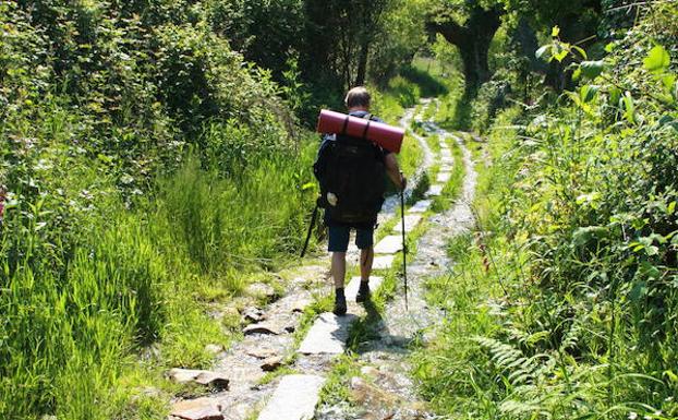 Un peregrino sigue un sendero a la altura de Sarria. 