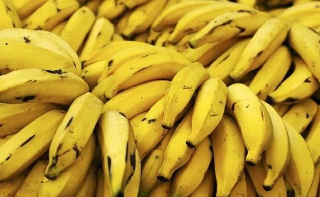 Plátanos. 