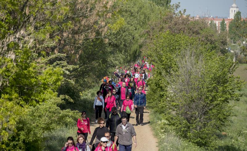 Los andarines recorren el trazado de la 41 Marcha Asprona. 