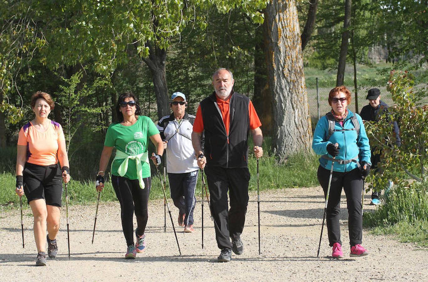 Fotos: Palencia camina a favor de Aspanis