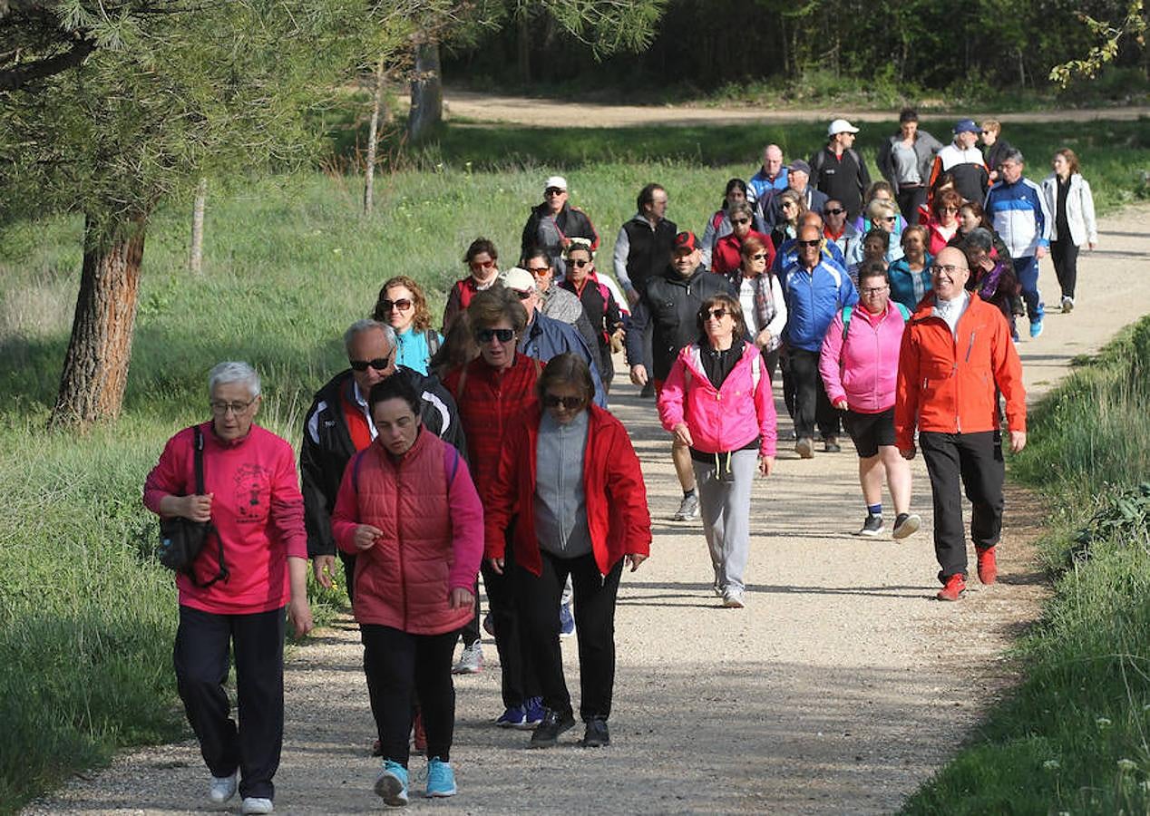 Fotos: Palencia camina a favor de Aspanis