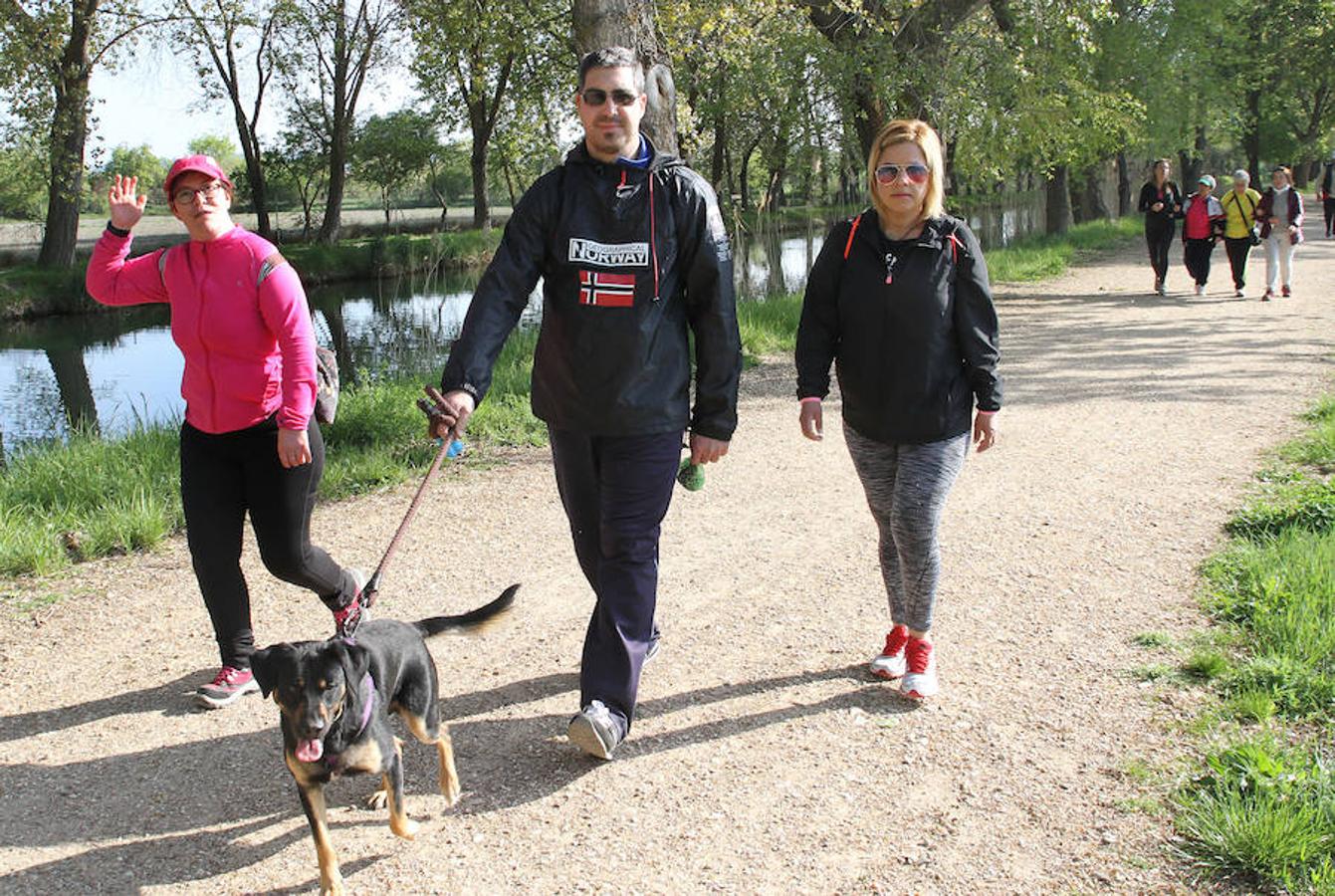 Fotos: Palencia camina a favor de Aspanis