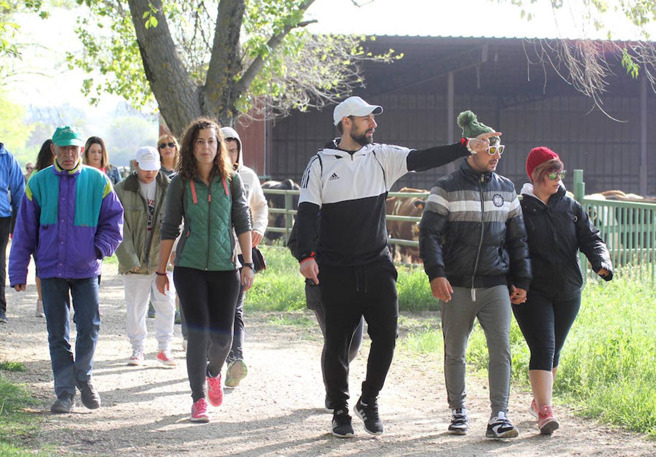 Fotos: Palencia camina a favor de Aspanis