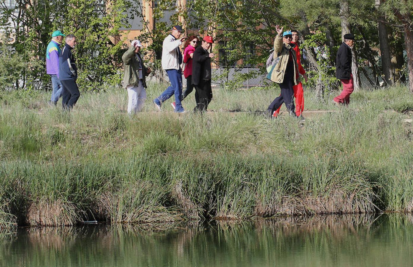 Fotos: Palencia camina a favor de Aspanis