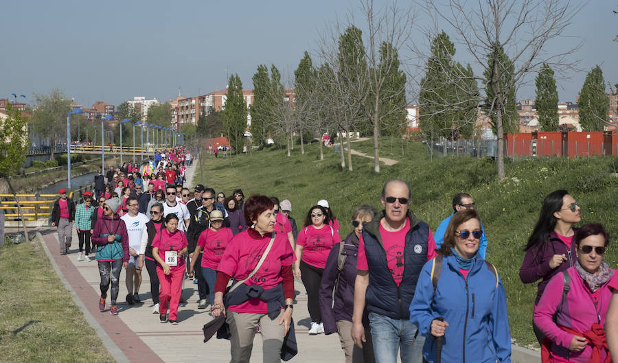 Fotos: 41 edición de la Marcha Asprona en Valladolid