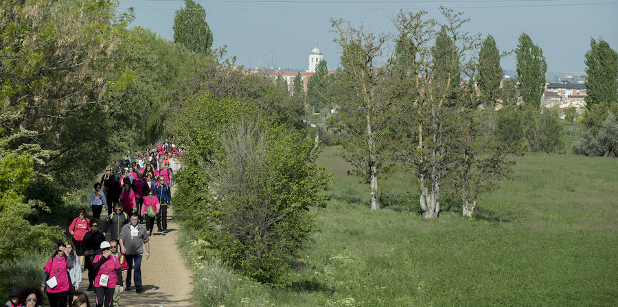 Fotos: 41 edición de la Marcha Asprona en Valladolid