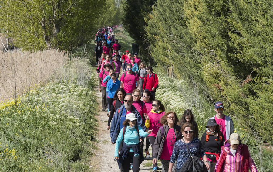 Fotos: 41 edición de la Marcha Asprona en Valladolid