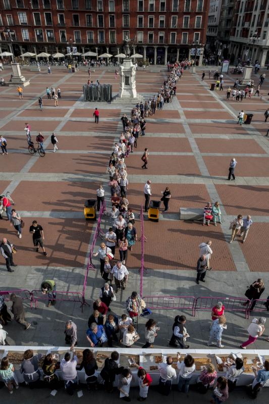 Fotos: Reparto de la Corona de San Pedro