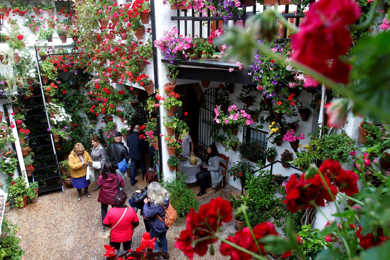 El Concurso Municipal de Los Patios de Córdoba celebra su edición de 2018, del 1 al 13 de mayo, con la participación de un total de 50 recintos