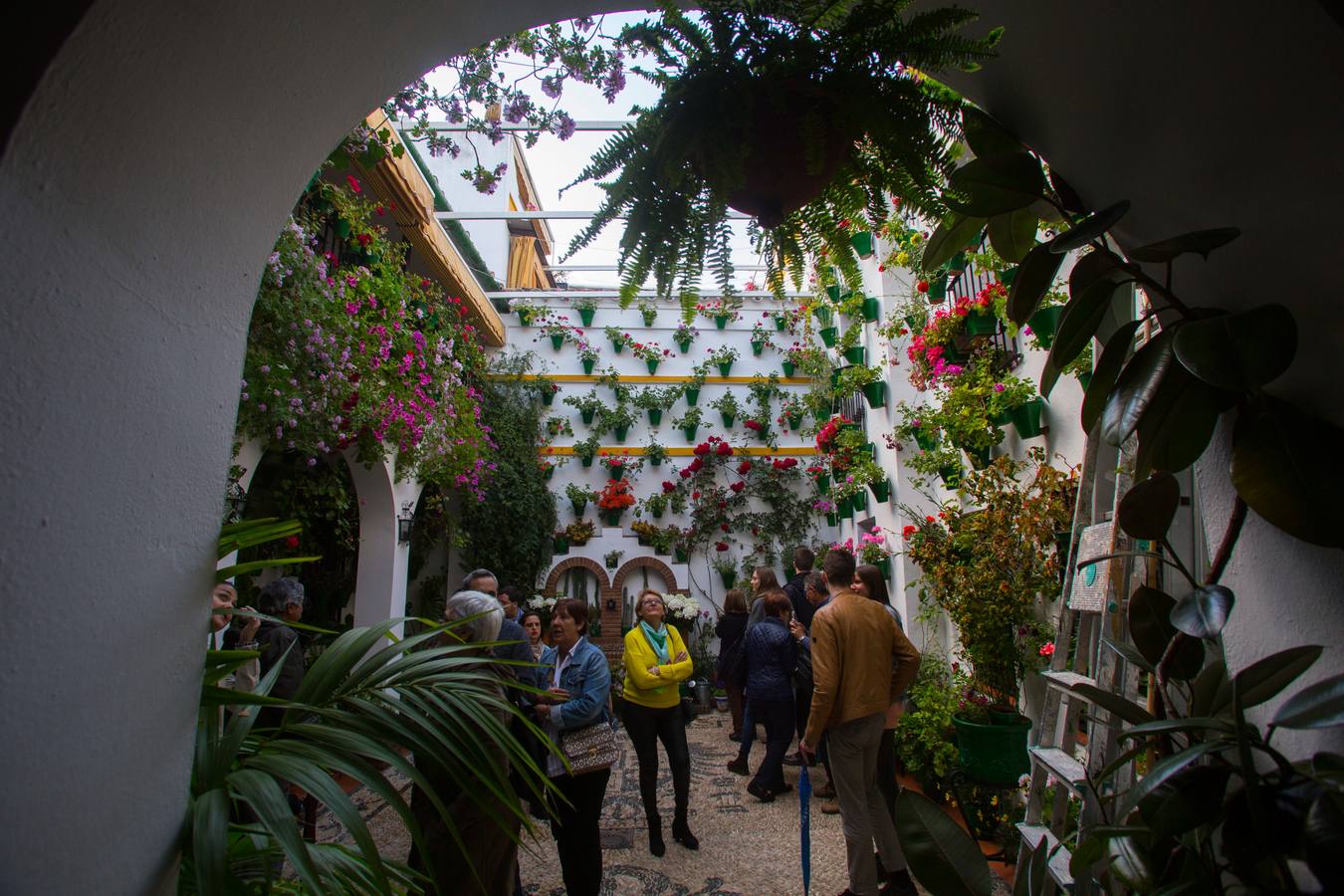 El Concurso Municipal de Los Patios de Córdoba celebra su edición de 2018, del 1 al 13 de mayo, con la participación de un total de 50 recintos