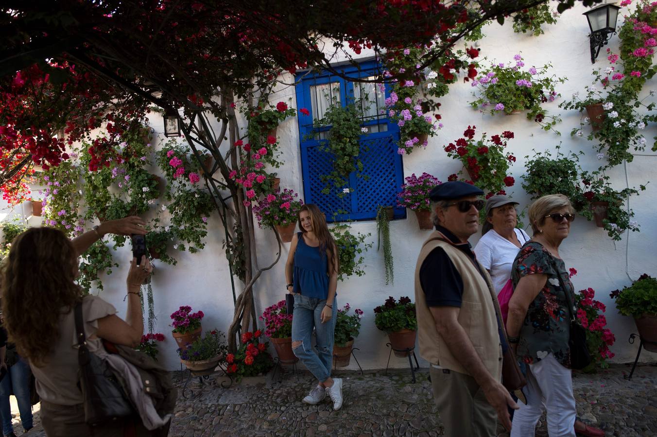 El Concurso Municipal de Los Patios de Córdoba celebra su edición de 2018, del 1 al 13 de mayo, con la participación de un total de 50 recintos