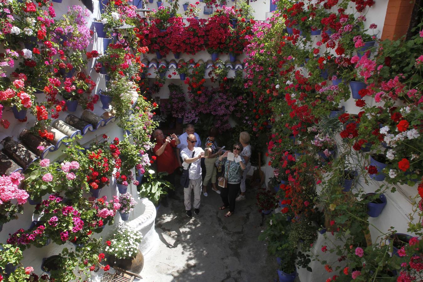 Fotos Explosión De Color En Los Patios De Córdoba El Norte De Castilla 9821